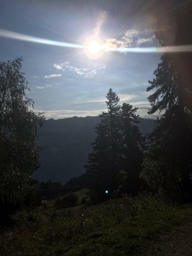 Schweinberger Sixtus Apartment Aschau Im Zillertal Bagian luar foto