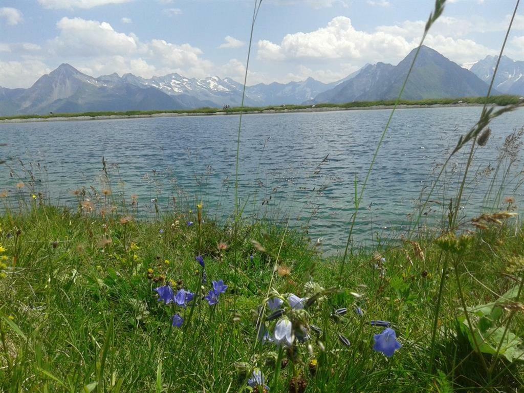 Schweinberger Sixtus Apartment Aschau Im Zillertal Bagian luar foto